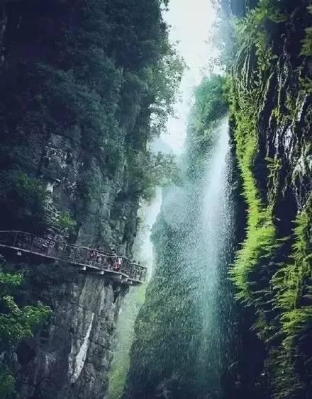 逃离仿真森林