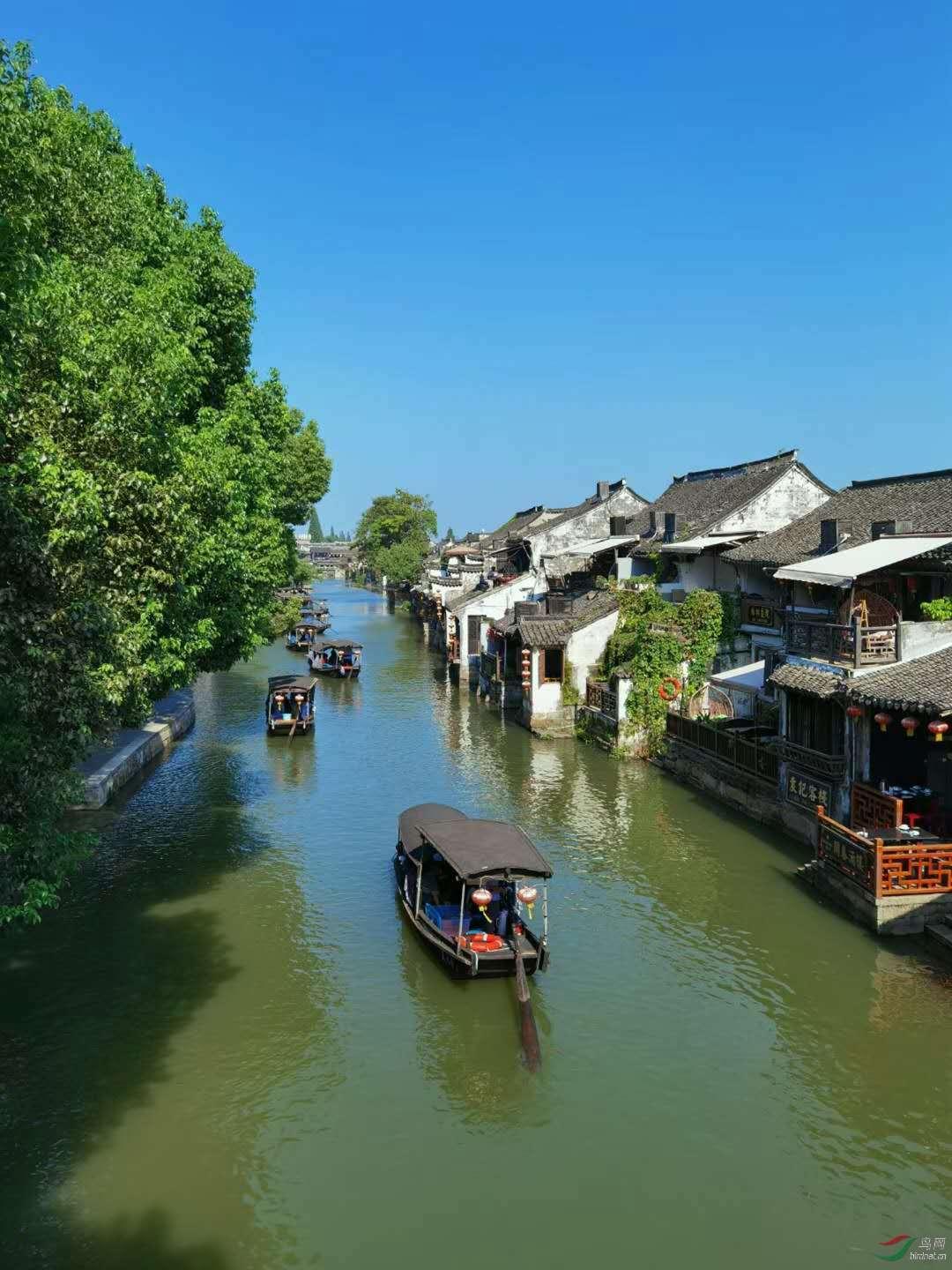 祸乱君心